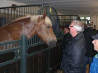 /album/fotogalerie/cimg4793-jpg/