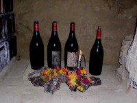 /album/fotogalerie/cimg4889-jpg/